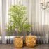 Golden Wave Planter - Set Of 2