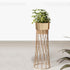 Zen Botanics Planters - Small - Gold