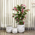 Whispering Waves Indoor Planters For Home - Set of 3