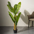 Banana Bliss Grove - 10 Leaf  Artificial Plant (4.5 Feet) (Natural Feel)