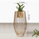 Euphoric Earth Planters - Small - Gold
