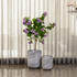 Curved Foliage Indoor Planters For Home - Set of 2