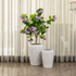 Whirlwind Flower Indoor Planters For Home - Set of 2