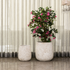Moonscape Elegance Indoor Planters For Home - Set of 2