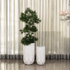 Diamond Bloom Indoor Planters For Home - Set of 2
