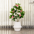 Lunar Flow Indoor Planters For Home - Medium