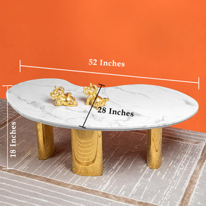 Radiant Rendezvous Centre Table (Stainless Steel)