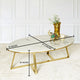 Oval Delight Centre table (STAINLESS STEEL)