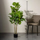 Mossy Marvel Sanctuary  Artificial Plant - Small