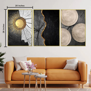 The Black Volcano Framed Canvas Wall Art - Set of 3