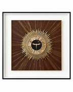 Solaris Dragonfly  Shadow Box for Wall Decoration & Wall Art