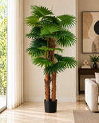 Paradise Palm Artificial Indoor Plant For Home ( 5.9 Feet ) (Natural Feel)