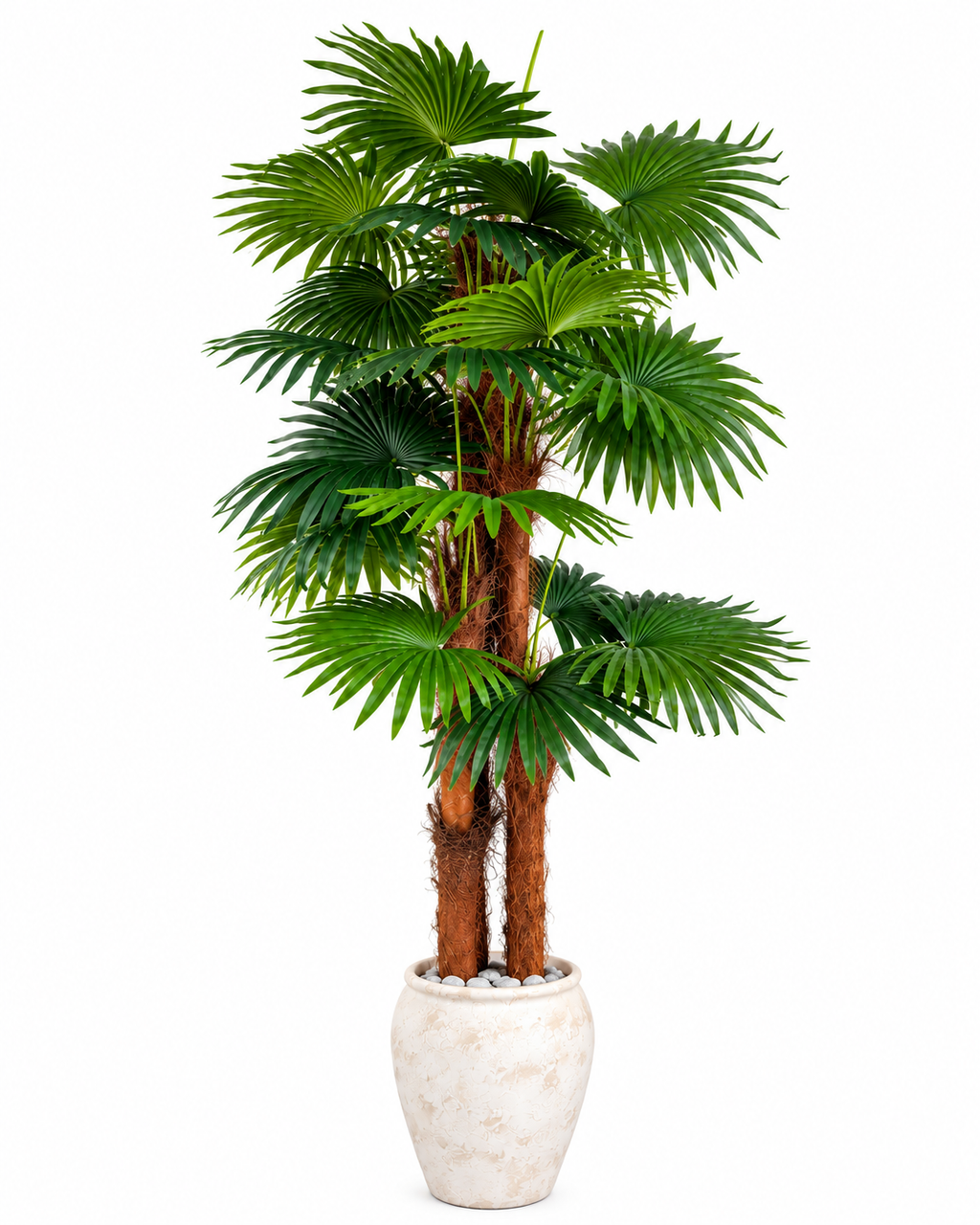 Paradise Palm Artificial Indoor Plant For Home ( 5.9 Feet ) (Natural Feel)