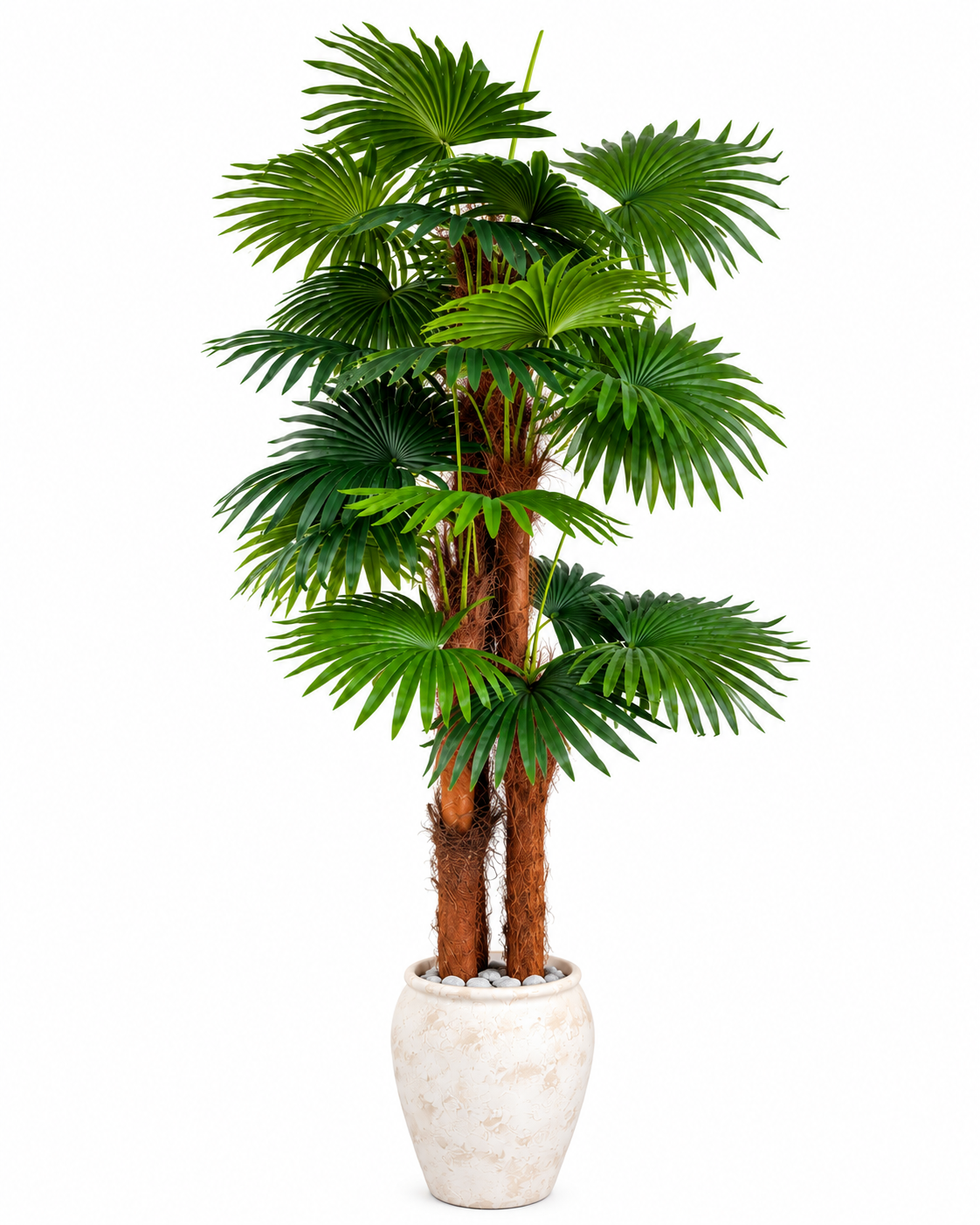 Paradise Palm Artificial Indoor Plant For Home ( 5.9 Feet ) (Natural Feel)
