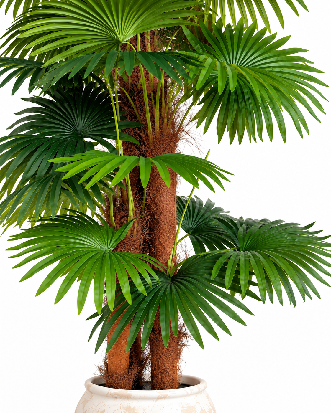 Paradise Palm Artificial Indoor Plant For Home ( 5.9 Feet ) (Natural Feel)