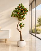 Orange Grove Artificial Indoor Plant For Home ( 5.4 Feet ) (Natural Feel)
