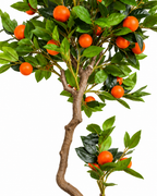 Orange Grove Artificial Indoor Plant For Home ( 5.4 Feet ) (Natural Feel)