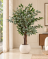 Heritage Banyan Artificial Indoor Plant For Home ( 3.9 Feet ) (Natural Feel)