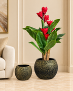 Cosmos Sphere Indoor Planters For Home - Set of 2