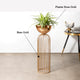 Urban Zen Planter (Gold Stand & Ross Gold Pot) - Small