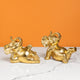 Trunked Treasures Home Decoration Showpiece - Set of 2