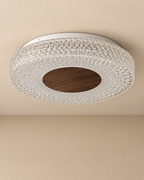 Prism Ring Ceiling Light For Home & Home Decoration Item