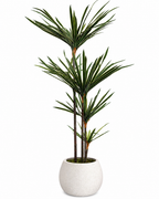 Sago Botanical Palm Artificial Indoor Plant For Home ( Natural feel )  ( 4.0 Feet )
