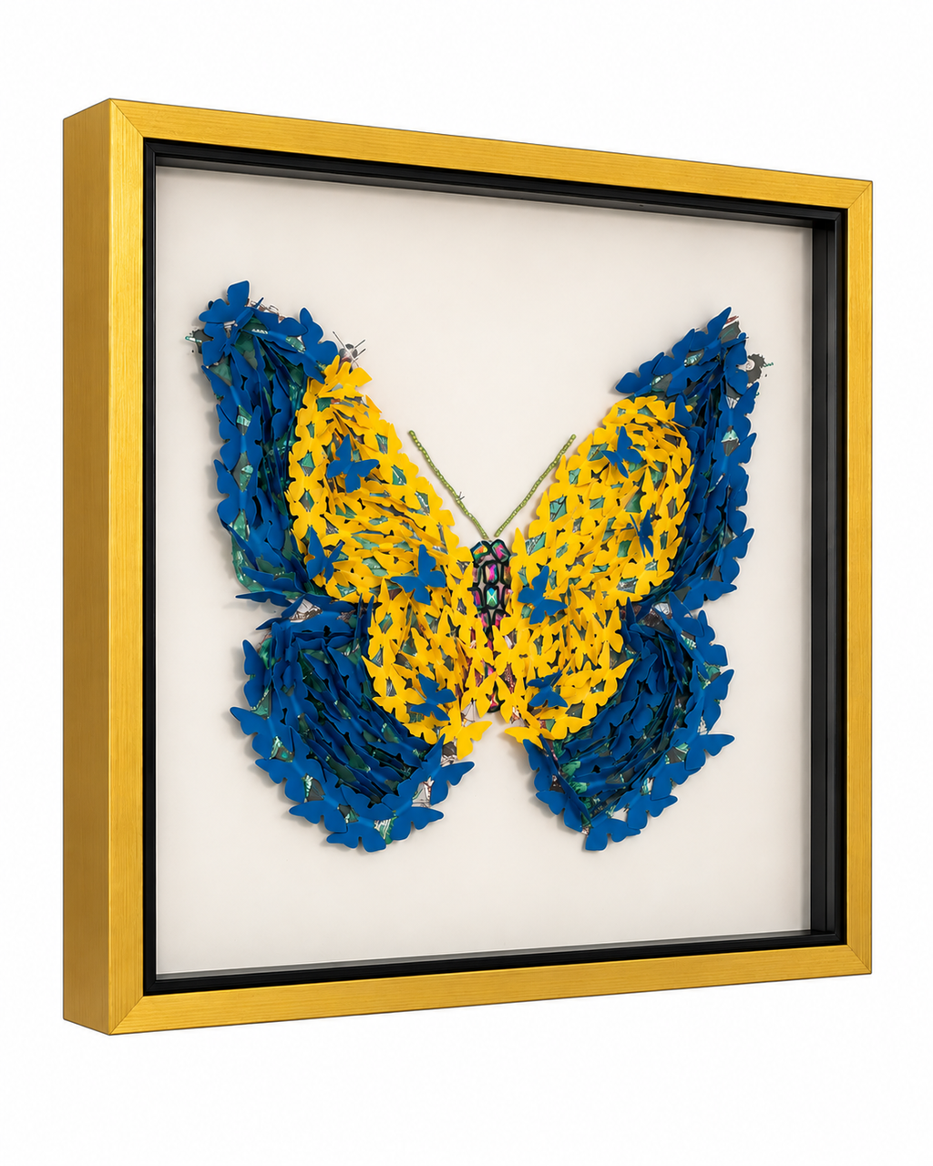Butterfly Symphony Shadow Box and Wall decoration item