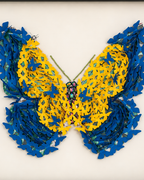 Butterfly Symphony Shadow Box and Wall decoration item