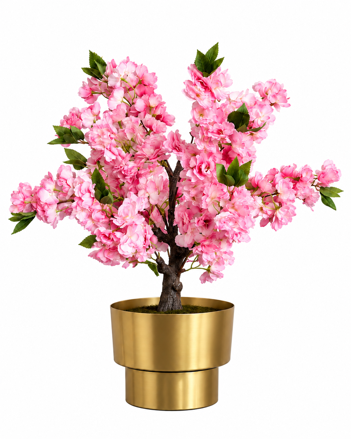 Bonsai Cherry Blossom Artificial Indoor Plant For Home  ( Natural feel )  ( 2 Feet )