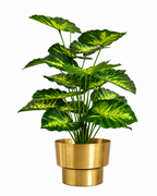 Sunlit Caladium Artificial Indoor Plant For Home ( 2.1 Feet ) (Natural Feel)