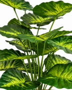 Sunlit Caladium Artificial Indoor Plant For Home ( 2.1 Feet ) (Natural Feel)