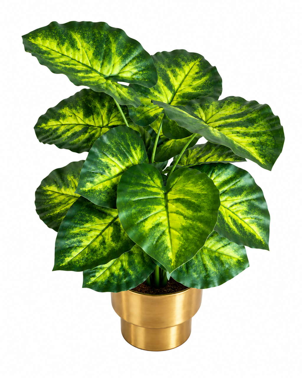 Sunlit Caladium Artificial Indoor Plant For Home ( 2.1 Feet ) (Natural Feel)