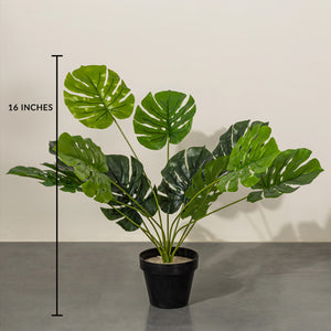 Ever Green Elegance Monstera Artificial Plant - 16 inches