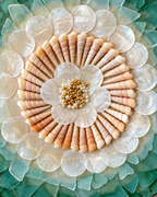 Sea Blossom Shadow Box Home Decoration Item