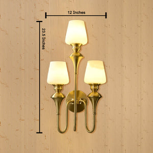 Elysian Curve Wall Lamps  for Living Room - Tiple Sconce