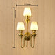 Elysian Curve Wall Lamps  for Living Room - Tiple Sconce