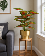 Caladium Garden Artificial Indoor Plant For Home ( 2.1 Feet ) (Natural Feel)