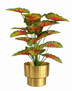 Caladium Garden Artificial Indoor Plant For Home ( 2.1 Feet ) (Natural Feel)