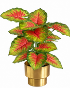 Caladium Garden Artificial Indoor Plant For Home ( 2.1 Feet ) (Natural Feel)