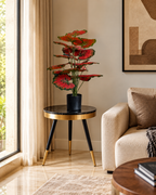 Ruby Begonia Artificial Indoor Plant For Home ( 2.1 Feet ) (Natural Feel)
