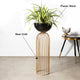 Urban Zen Planter (Gold Stand & Black Pot) - Big