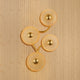 Solaris Petal Wall Light For Home & Item for Wall Decoration