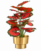 Ruby Begonia Artificial Indoor Plant For Home ( 2.1 Feet ) (Natural Feel)