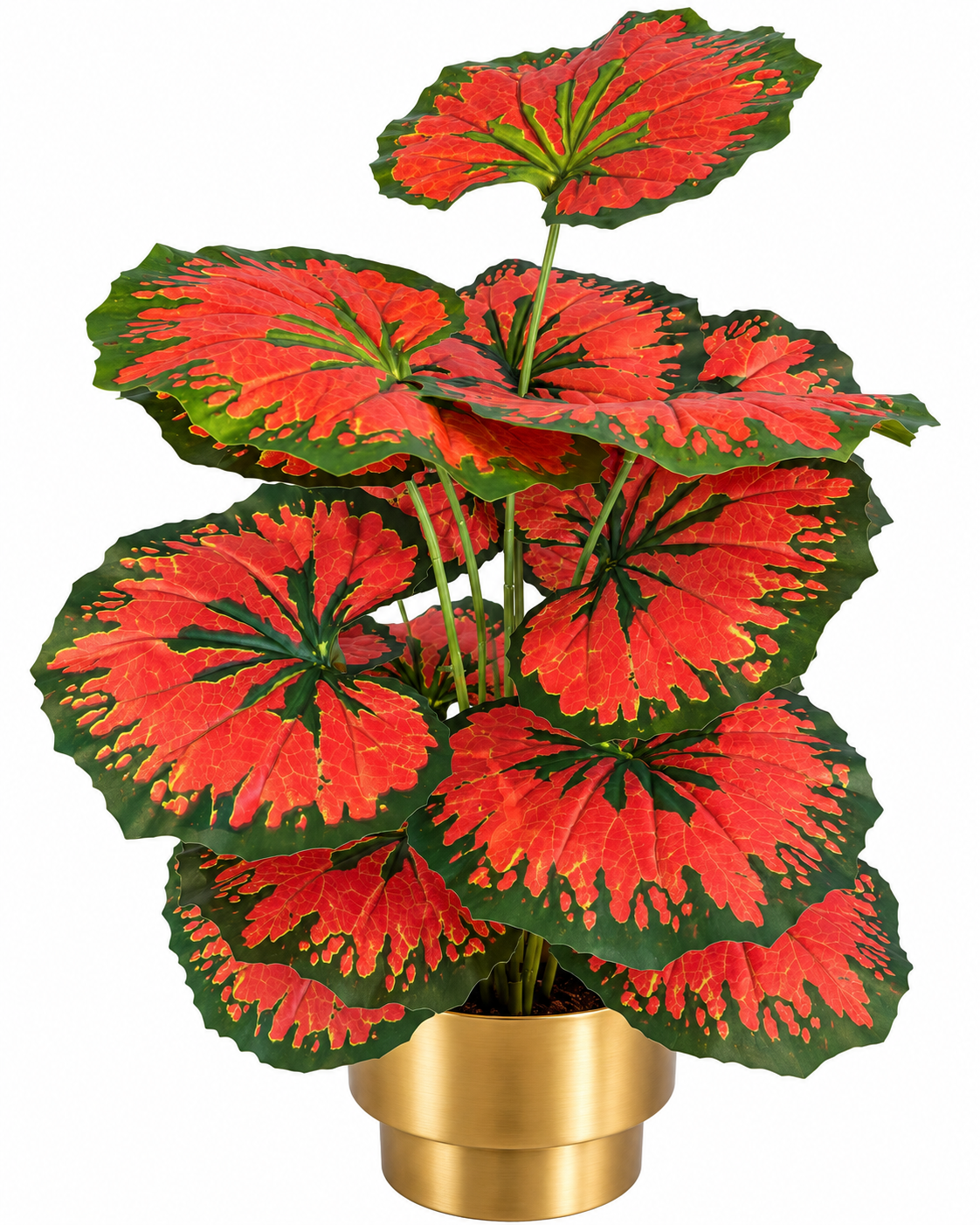 Ruby Begonia Artificial Indoor Plant For Home ( 2.1 Feet ) (Natural Feel)