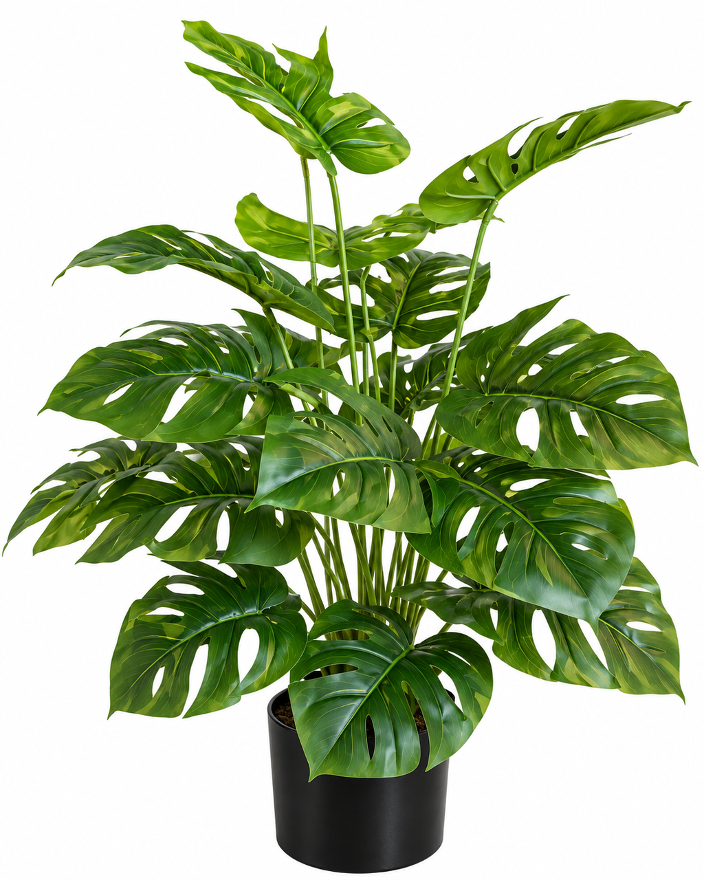 Tropical Monstera Artificial Indoor Plant For Home ( 2.1 Feet ) (Natural Feel)