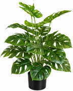 Tropical Monstera Artificial Indoor Plant For Home ( 2.1 Feet ) (Natural Feel)
