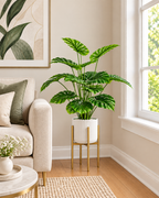 Tropical Monstera Artificial Indoor Plant For Home ( 2.1 Feet ) (Natural Feel)
