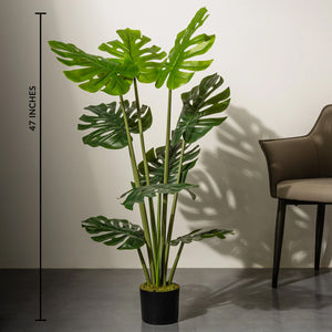 Ever Green Elegance Monstera Artificial Plant - 47 inches