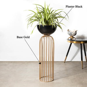 Urban Zen Planter (Gold Stand & Black Pot) - Small